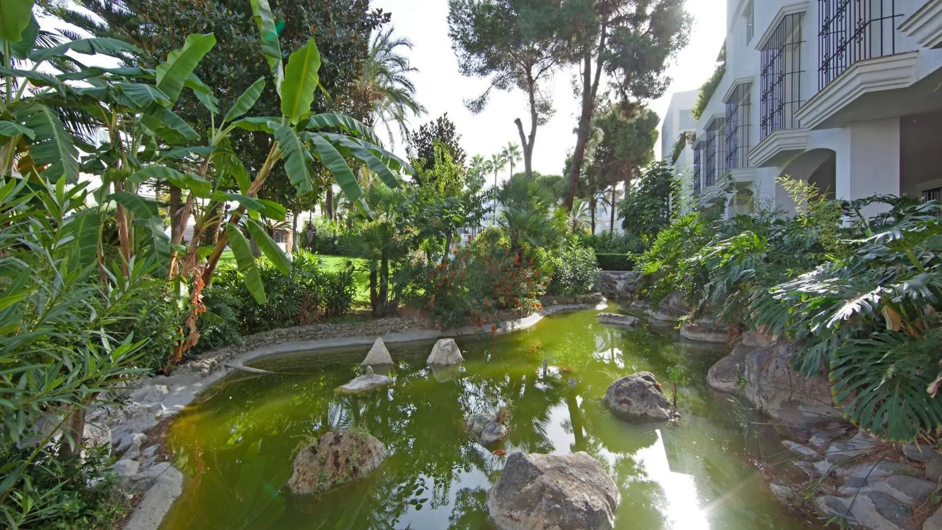 White Pearl Beach Elviria H1 Marbella
